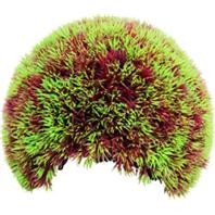 Poppy Pet - Moss Cave Hideout - Red / Green - 8 Inch