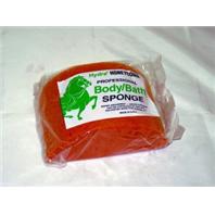 Hydra Sponge - Hydra Honeycomb Body Sponge - Medium