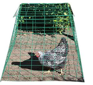 Animal Supplies Internat - Pyramid Poultry Wire Cage - Green - 40X40X30 Inch