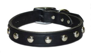 Leather Brothers - 1" Regular 1-Ply Studded Latigo Collar - Black - 20" Length