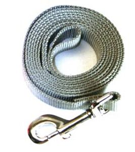 Leather Brothers - 1" x 4' One-Ply Nylon Lead - Nickle Bolt - Silver Moon