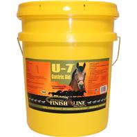 Finish Line - Finishline U7 Gastric Supplement Liquid -  5 Gallon