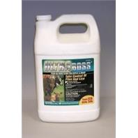 Merck Ah Cattle - Ultra Boss Pour-On Insecticide For Cattle & Sheep - 1 Gallon