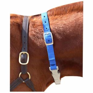 Imported Horse Supply - Cribbing Strap