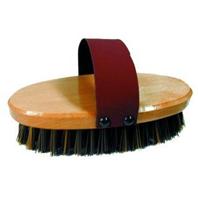 Imported Horse Supply - Brush Nifty - 7.5 x 3.5 Inch