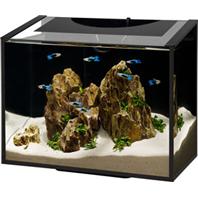 Aqueon Products - Glass - Ascent Led Aquarium Kit - Black - 6 Gallon