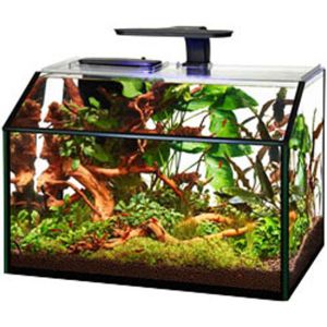 Aqueon Products - Glass - Shrimp Aquarium Kit Led - 9 Gallon