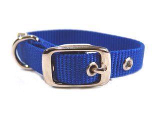 Hamilton Pet - Deluxe Single Thick Nylon Dog Collar - Blue - 0.63 Inch x 12 Inch