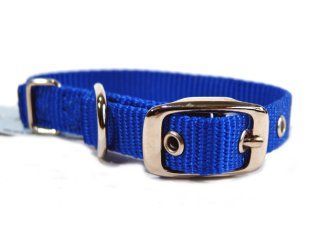 Hamilton Pet - Deluxe Single Thick Nylon Dog Collar - Blue - 0.63 Inch x 14 Inch