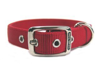 Hamilton Pet - Deluxe Double Thick Nylon Dog Collar - Red - 1 Inch x 22 Inch
