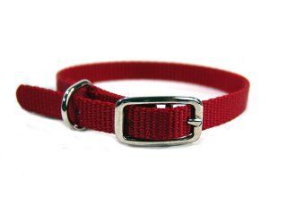 Hamilton Pet - Deluxe Single Thick Nylon Dog Collar - Red - 0.38 Inch x 12 Inch
