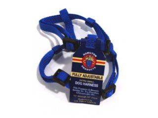 Hamilton Pet - Adjustable Comfort Nylon Harness - Blue - 3/8 x 10-16 Inch 