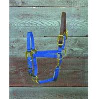 Hamilton Halter - Adjustable Halter with Leather Head Pole - Blue - Pony