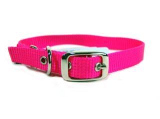 Hamilton Pet - Single Thick Nylon Deluxe Dog Collar - Hot Pink - 0.63 Inch x 18 Inch