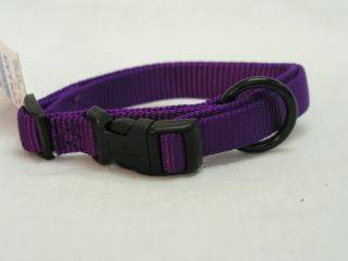 Hamilton Pet - Adjustable Dog Collar - Purple - 5/8 x 12-18 Inch