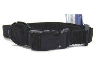 Hamilton Pet - Adjustable Dog Collar - Black - 3/4 x 16-22 Inch
