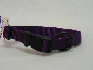 Hamilton Pet - Adjustable Dog Collar - Purple - 3/4 x 16-22 Inch