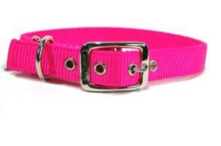 Hamilton Pet - Deluxe Double Thick Nylon Dog Collar - Hot Pink - 1 Inch x 24 Inch