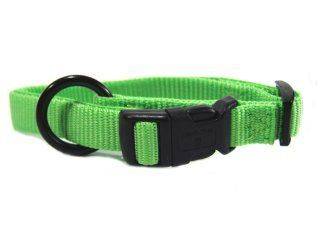 Hamilton Pet - Adjustable Dog Collar - Lime - 5/8 x 12-18 Inch