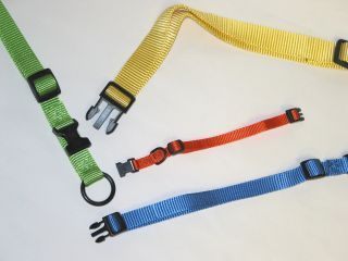Hamilton Pet - Adjustable Dog Collar - Mango - 3/4 x 16-22 Inch