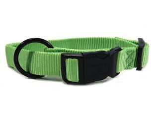 Hamilton Pet - Adjustable Nylon Dog Collar - Lime - 1 x 18-26 Inch