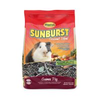 Higgins Premium Pet Foods - Sunburst Gourmet Blend For Guinea Pigs - 6Lb