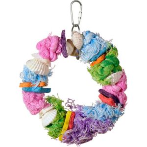 Prevue Pet Products - Cal- Sea- Yum Dollar Toy - Multi-Colored - 5X7 Inch - 