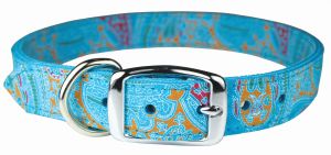 Leather Brothers - 1/2" Regular Paisley Leather Collar - Turquoise - 14" Length