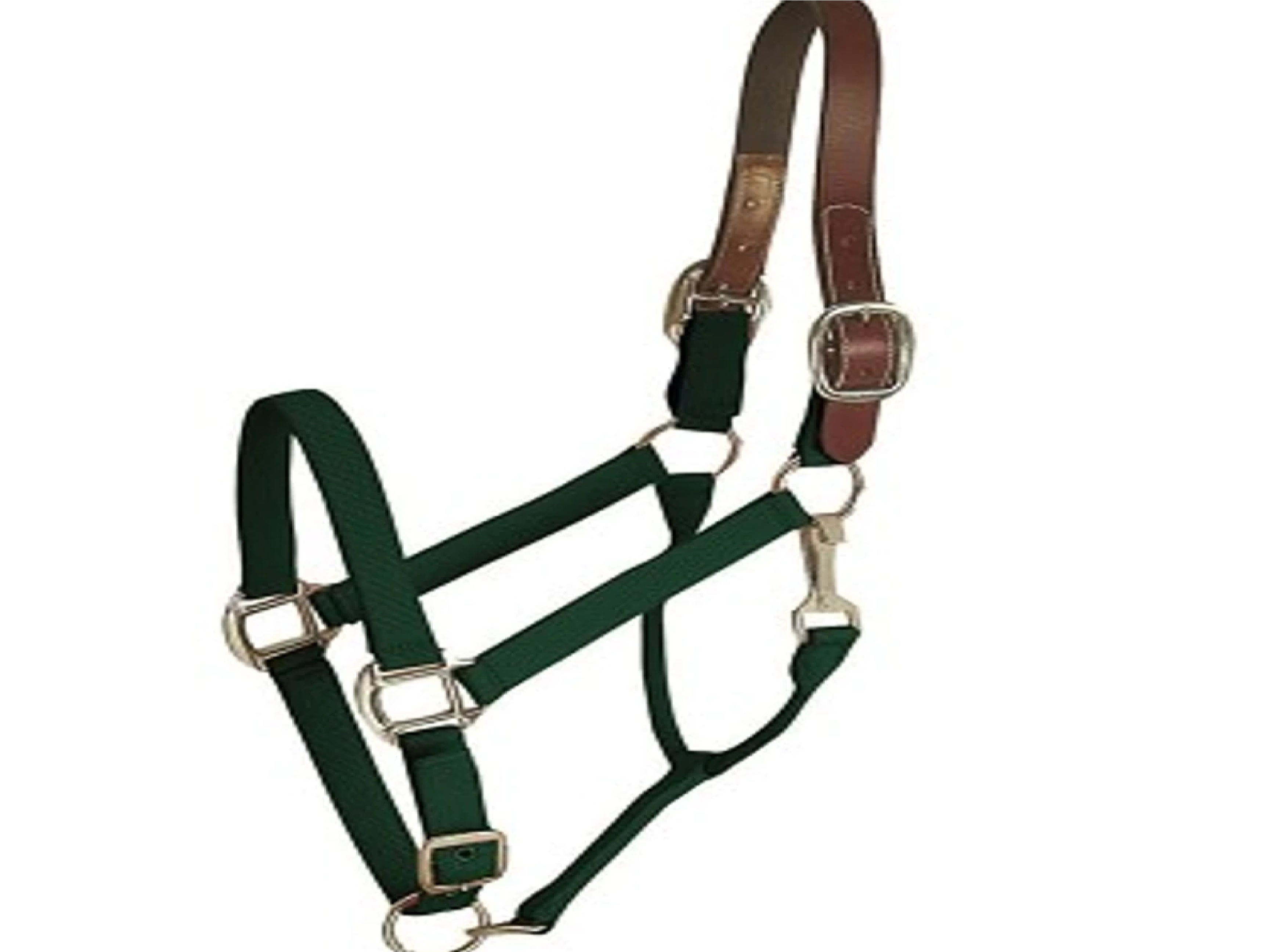 Horse And Livestock Prime - Halter Leather Crown Econ - Green - Cob