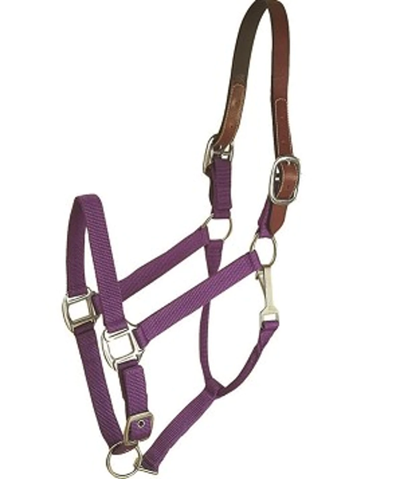 Horse And Livestock Prime - Halter Leather Crown Econ - Purple - Cob