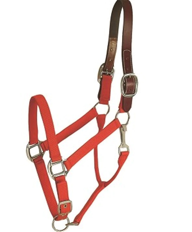 Horse And Livestock Prime - Halter Leather Crown Econ - Red - Cob