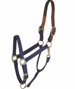 Gatsby Leather Company - Halter Leather Crown Econ - Blue - Horse
