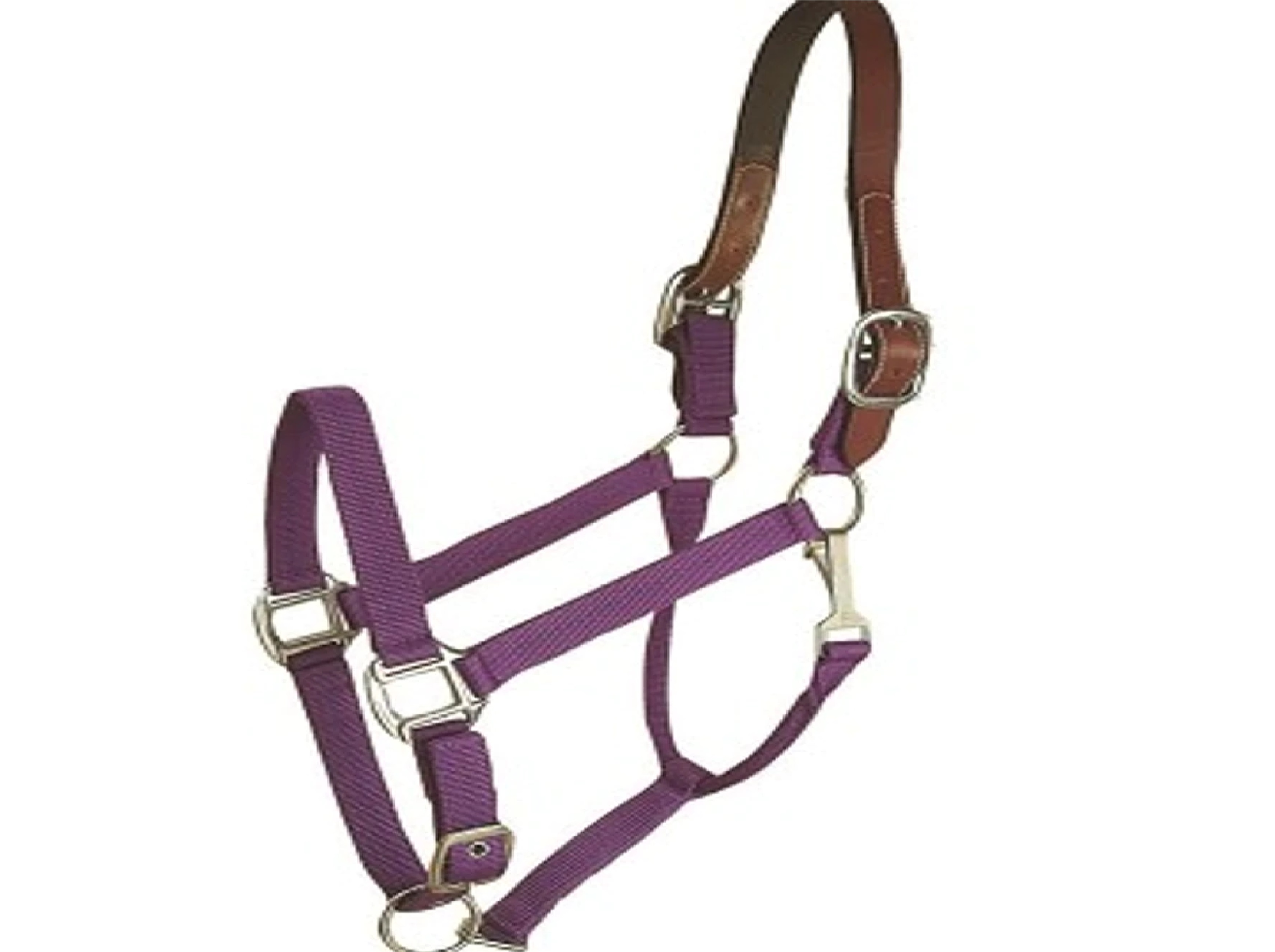 Horse And Livestock Prime - Halter Leather Crown Econ - Purple - Horse