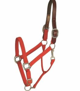 Gatsby Leather Company - Halter Leather Crown Econ - Red - Horse
