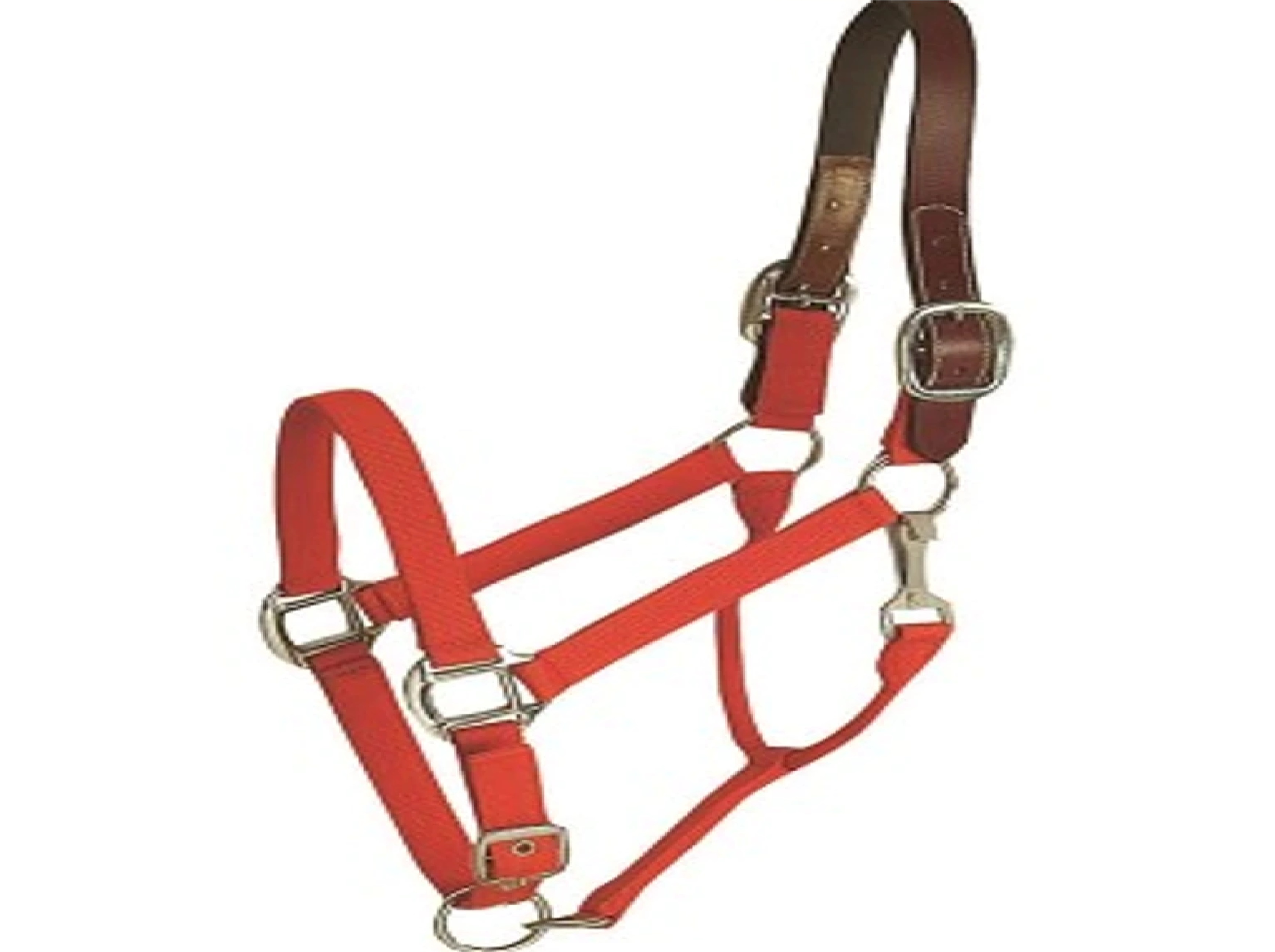 Horse And Livestock Prime - Halter Leather Crown Econ - Red - Large
