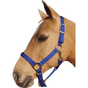 Horse And Livestock Prime - Premium Halter Chin With Snap - Blue - Average