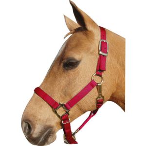 Horse And Livestock Prime - Premium Halter Chin With Snap - Red - Average