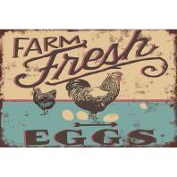 My Favorite Chicken - Farm Fresh Eggs Metal Sign - 12X16