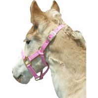 Horse And Livestock Prime -Premium Halter Chin With Snap - Pink - Weanling
