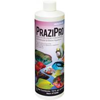 Hikari Sales Usa - Prazipro Safe & Fast Fluke Treatment - Medium - 4 Ounce