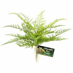 Zoo Med - Naturalistic Flora Lace Fern - Green