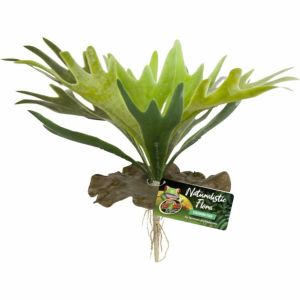 Zoo Med - Naturalistic Flora Staghorn Fern - Green
