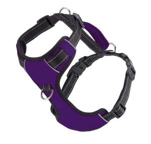 BayDog - Chesapeake Harness- Purple - Large