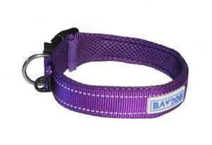 BayDog - Tampa Collar- Purple - Large