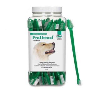 Top Performance - ProDental Dual End Brush - 50Pack