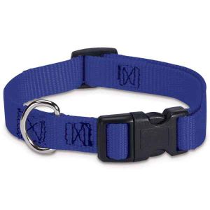 Guardian Gear - Adj Collar Basic - 18-26x1Inch - Blue