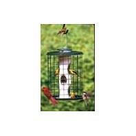 Vari-Crafts - Avian Series Caged Bird Feeder - Green - 2 Lb