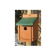 Audubon/Woodlink - Going Green Bluebird House - Green - 6.75 X 6.25 X 13 Inch