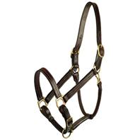 Gatsby Leather - Classic Adjustable Halter Horse - Large