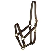 Gatsby Leather - Stable Halter - Suckling